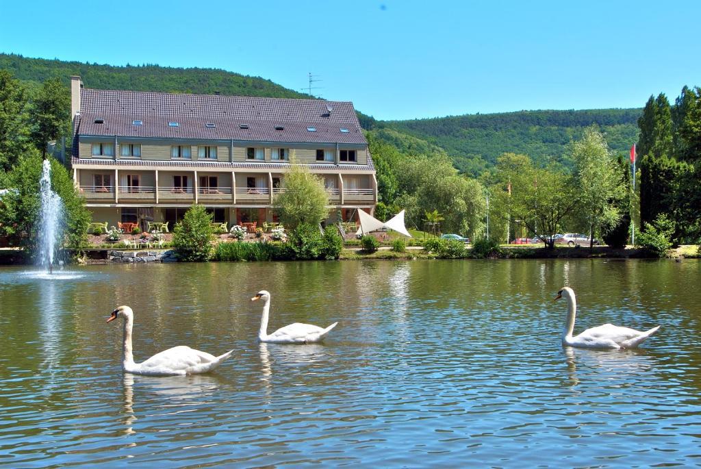 Hotel Du Lac Guebwiller Zewnętrze zdjęcie